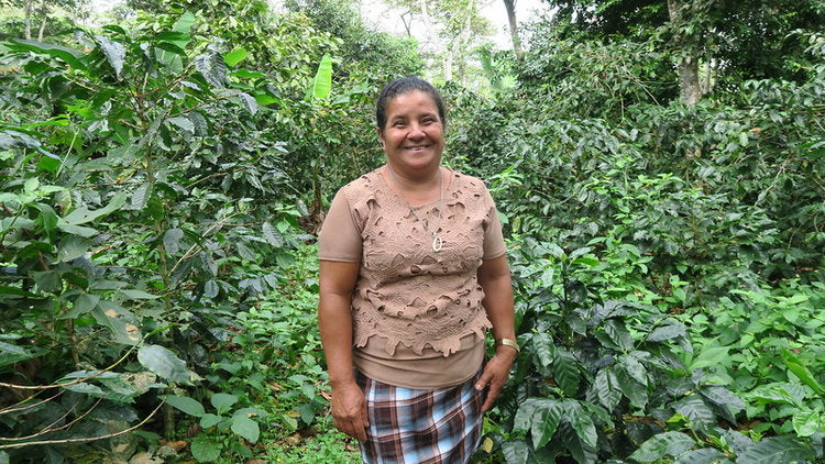 Corcasan
