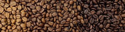 Does Light or Dark Roasted Coffee Have More Caffeine?