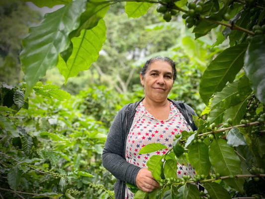 Finca Los Positos (Nicaragua)